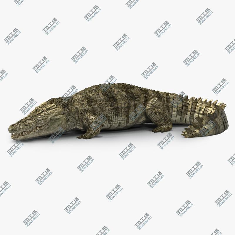 images/goods_img/2021040234/Crocodile Rigged 3D/1.jpg